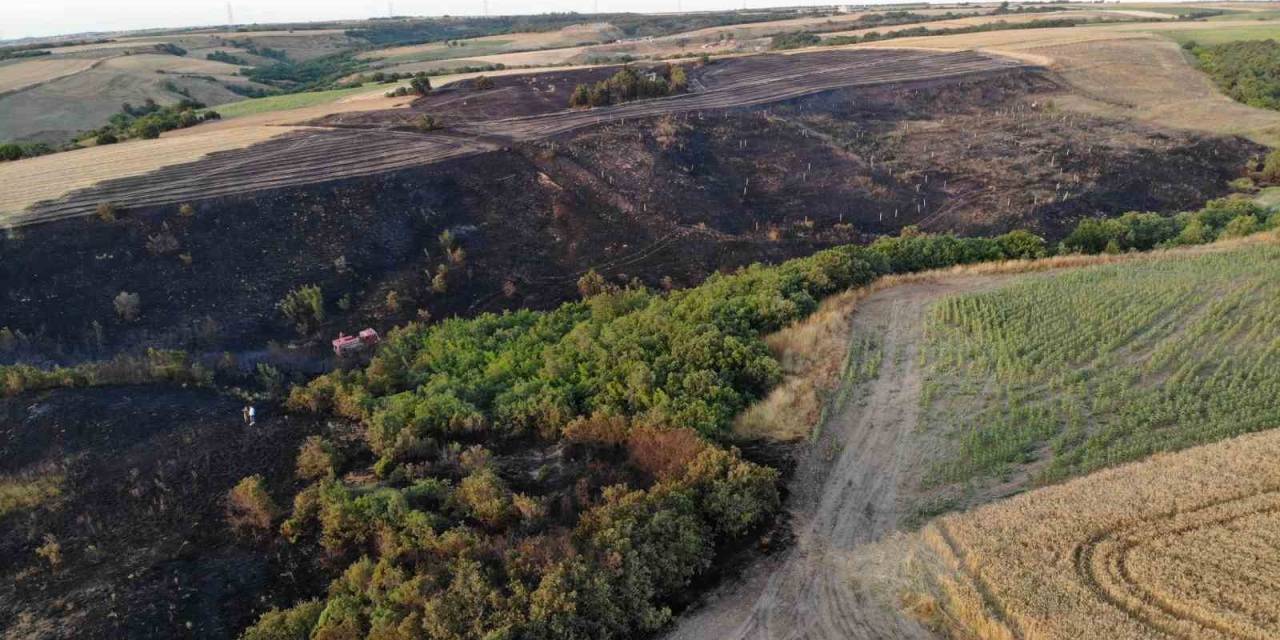 Silivri’de 30 Dönümlük Buğday Tarlası Küle Döndü