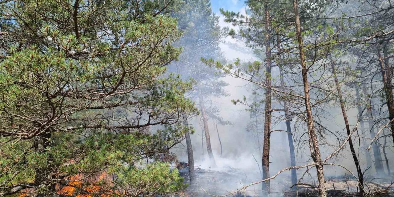 Amasya’da Korkutan Orman Yangını