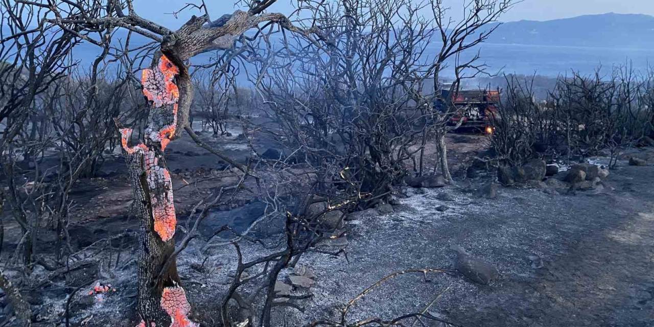 Ayvacık’taki Orman Yangını Kontrol Altına Alındı