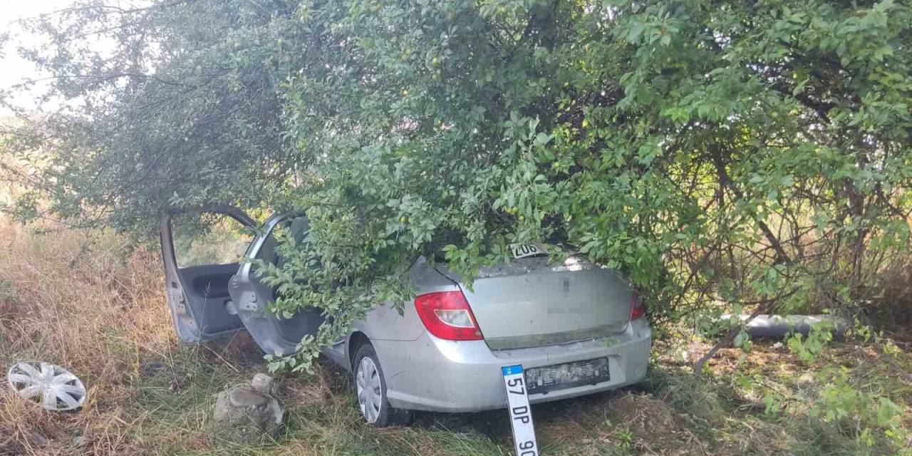 Otomobil Ağaca Çarptı: 3 Yaralı