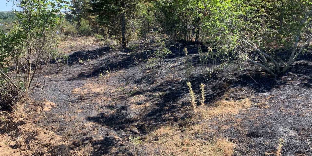 Kırklareli’nde Orman Yangını: 10 Dekar Alan İle 5 Dekar Buğday Tarlası Zarar Gördü