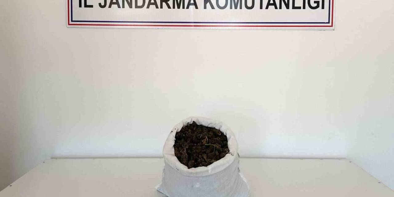 Bingöl’de Uyuşturucu Madde Ele Geçirildi