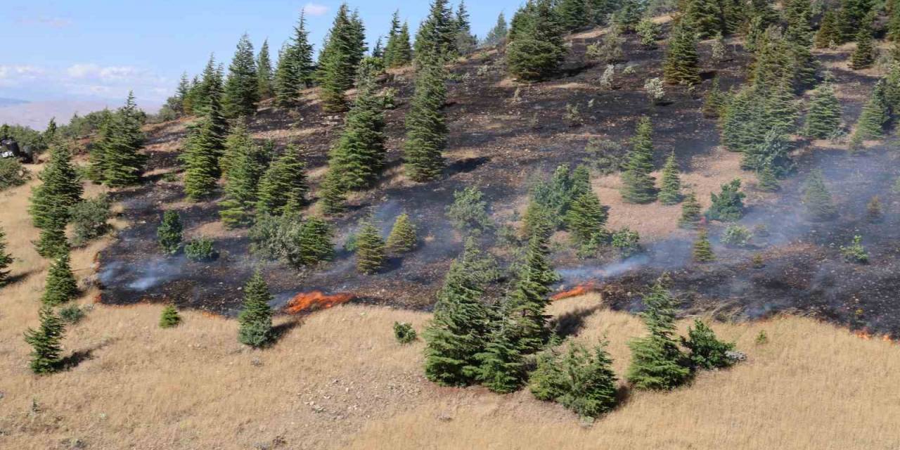 Elazığ’da Ormanlık Alanda Yangın