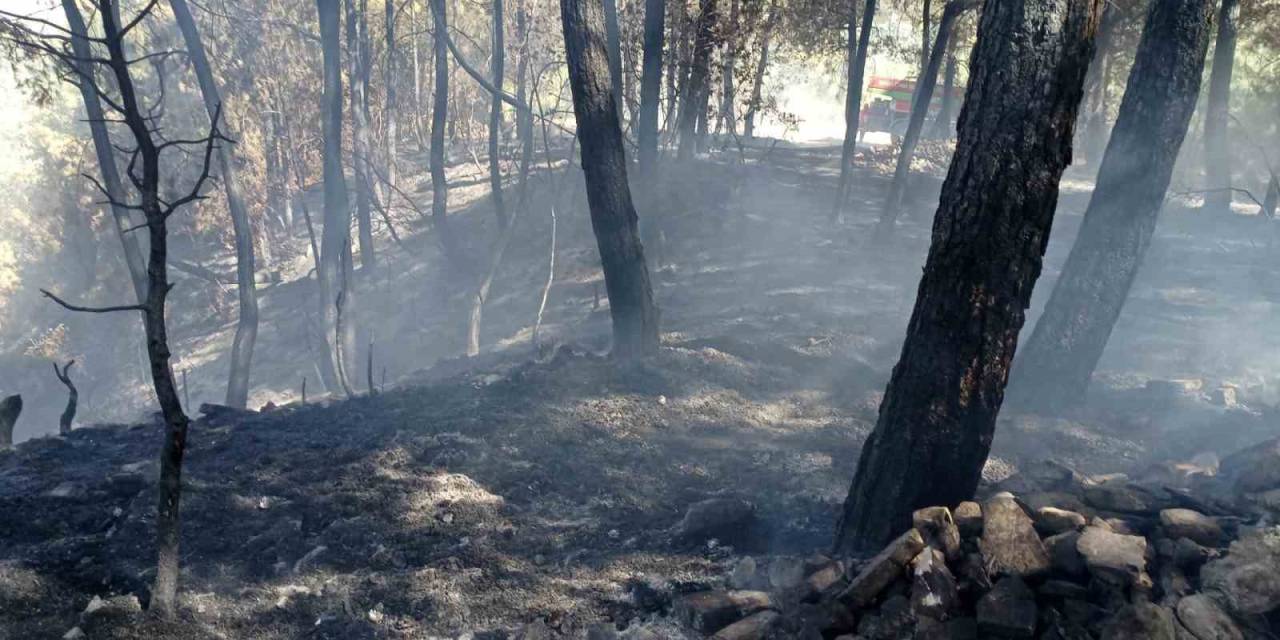 Denizli’de Ormanlık Alanda Çıkan Yangın Büyümeden Söndürüldü