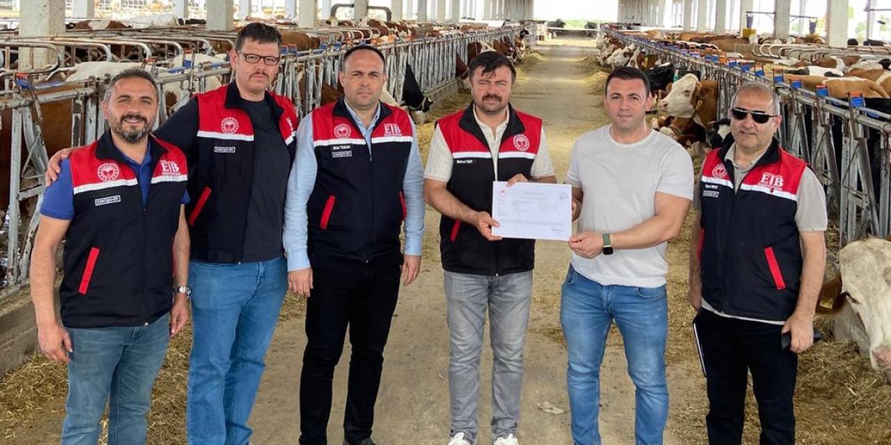 Eskişehir’de Ari İşletme Sayısı Genç Yetiştiricilerle Çoğalıyor