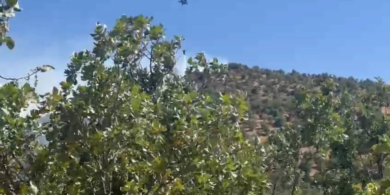 Diyarbakır’da Orman Yangını: Havadan Ve Karadan Müdahale İle Söndürüldü