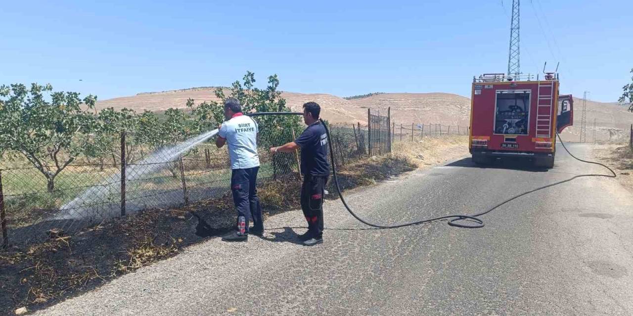 Siirt’te Farklı Noktalarda Meydana Gelen Yangınlar Büyümeden Söndürüldü