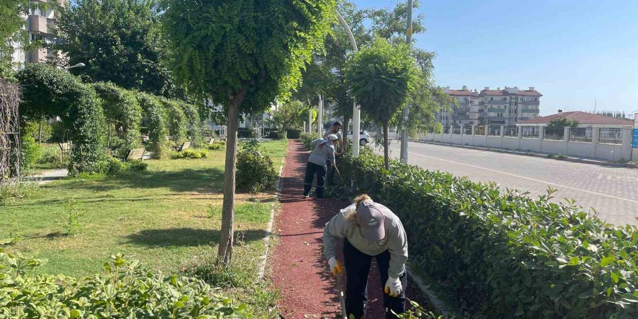 Söke Belediyesi Park Ve Bahçeleri Pırıl Pırıl Yapıyor