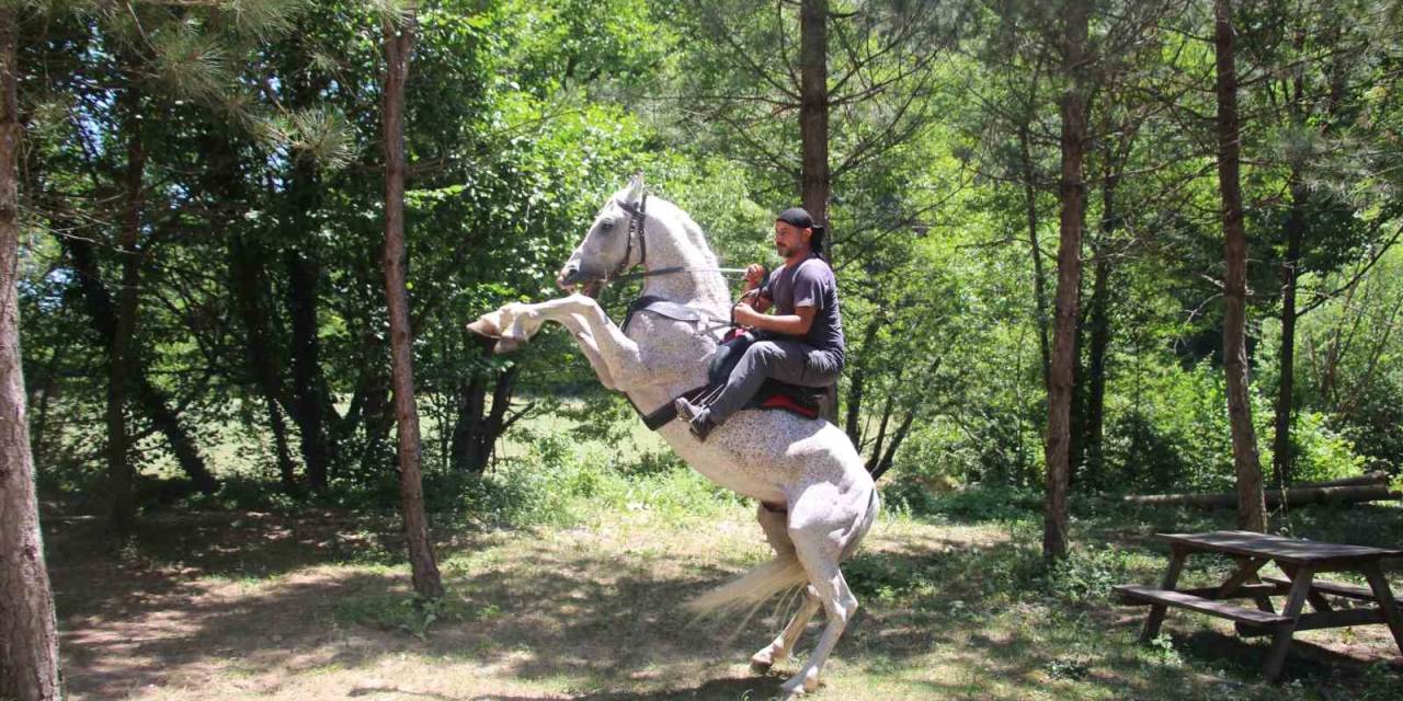 "Allah" Denilince Şaha Kalkıyor