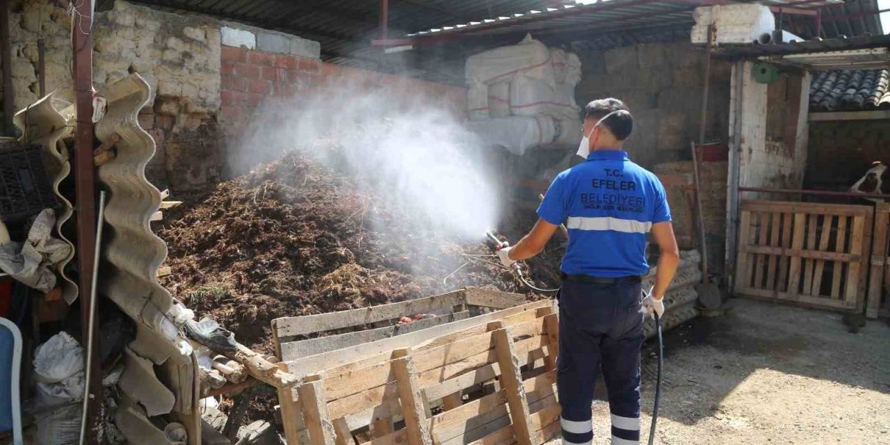 Efeler’de İlaçlama Çalışmaları Hızla Sürüyor