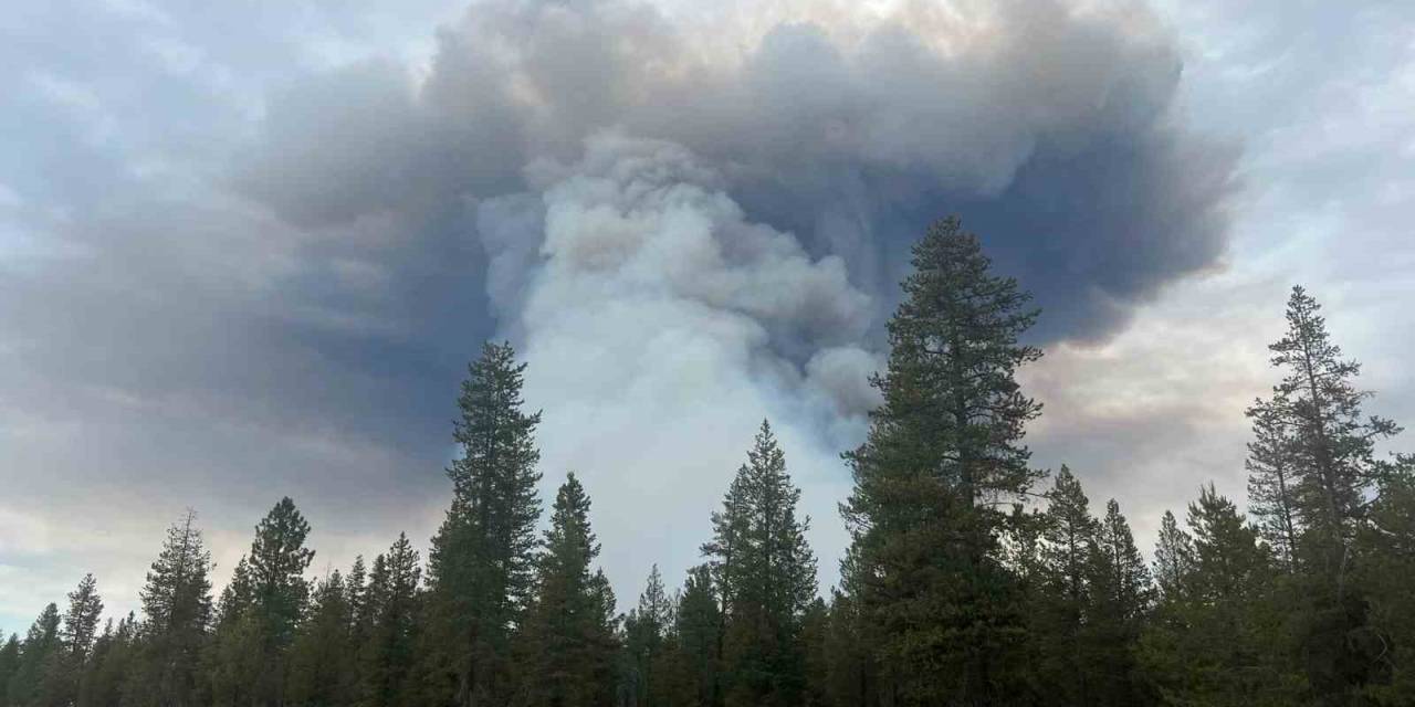 Abd’nin Oregon Eyaletinde Orman Yangını: Bin 700 Dönümlük Alan Kül Oldu