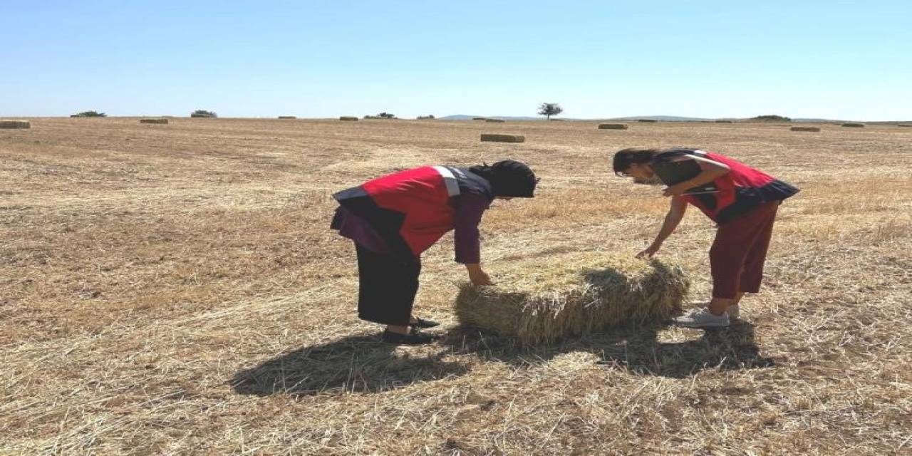 Emet’te Yem Bitkileri Desteklemesi Arazi Kontrolleri