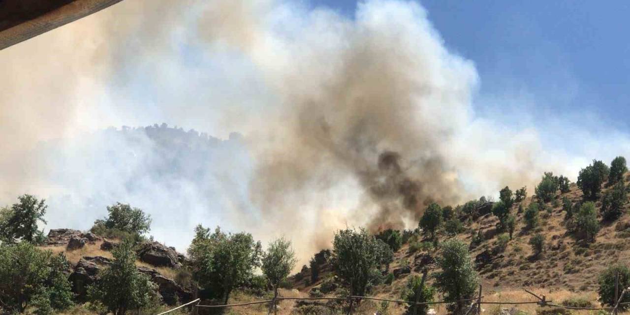 Ormanlık Alanda Çıkan Örtü Yangını Korkuttu