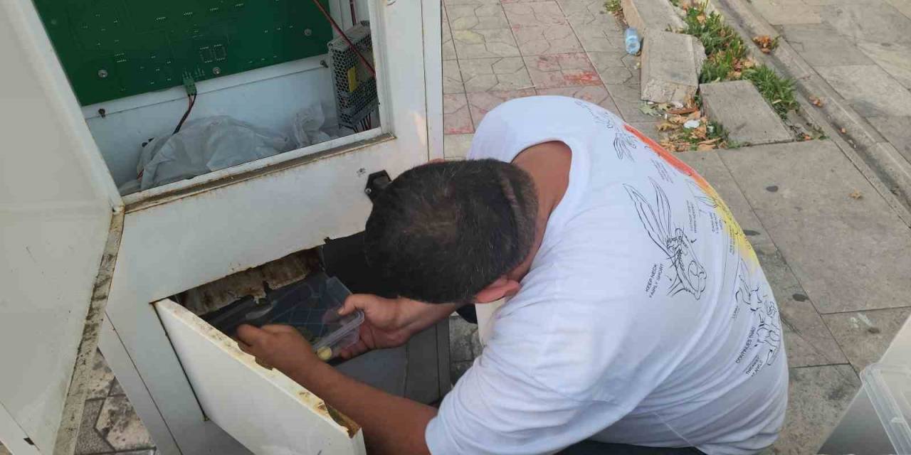 Oyun Makinelerinin Kilitlerini Kırıp Paraları Çaldılar