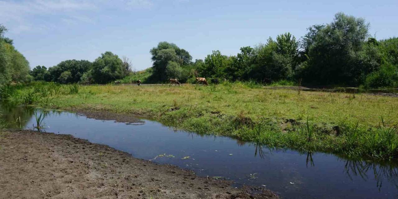 Tunca Nehri’nde Kuraklık Alarmı: Bölge Üreticisi Endişeli