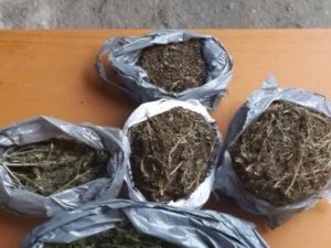 Çarşamba’da 2 Kilo 650 Gram Kubar Esrar Ele Geçirildi