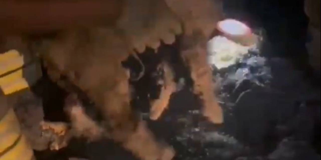 Ziftte Mahsur Kalan 2 Yavru Köpeği İtfaiye Kurtardı