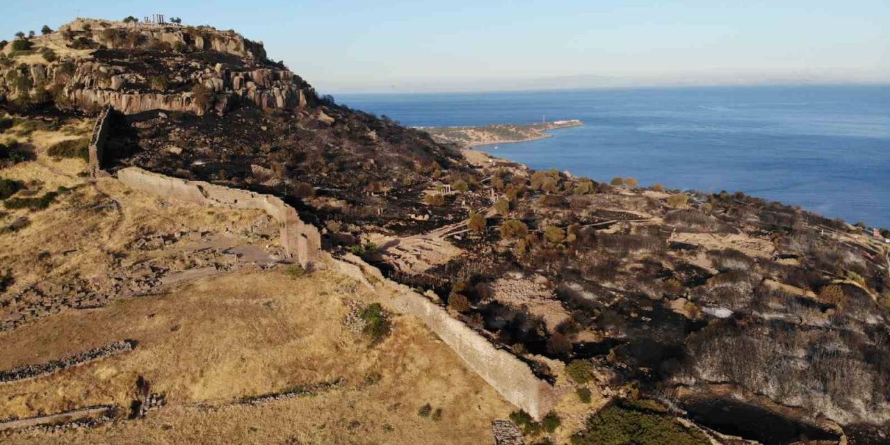 Tarihi Tapınak Bölgesinde 43 Futbol Sahası Alan Zarar Gördü