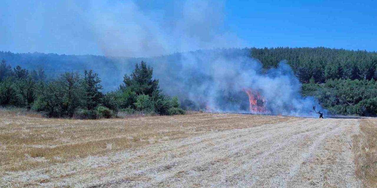 Alevler Tarladan Ormana Sıçradı