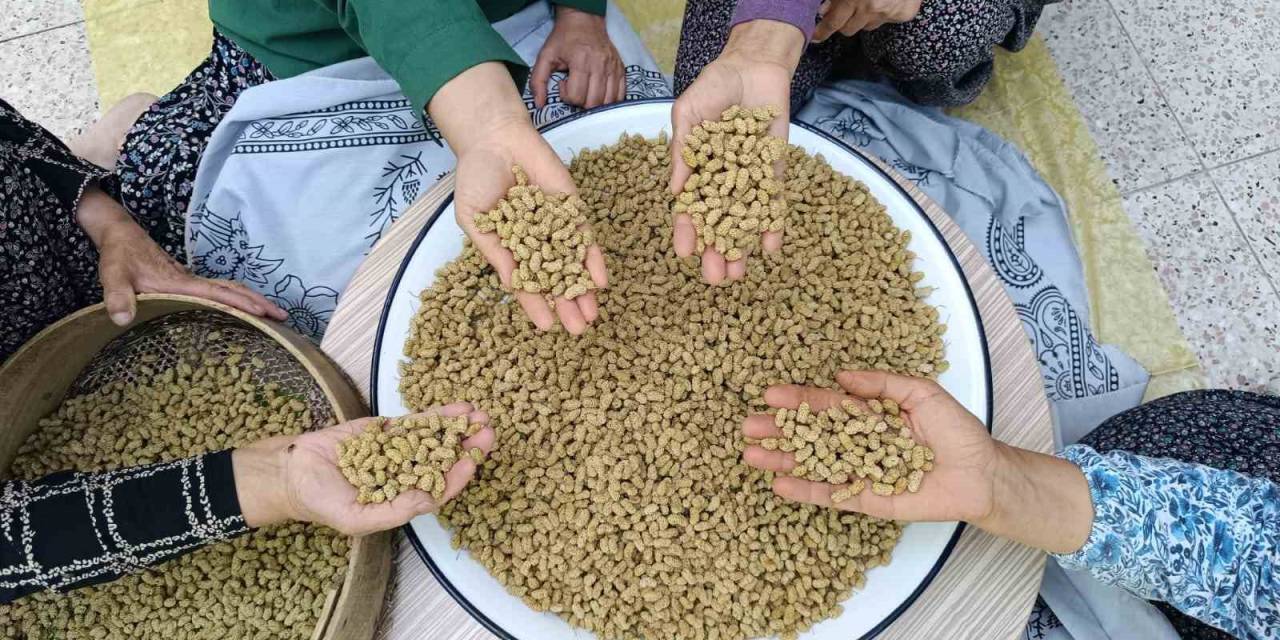 Coğrafi İşaretli Ulukale Dutu, Tunceli’nin Köyünden Çıkıp Dünyaya İhraç Ediliyor