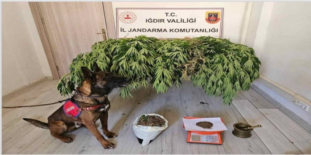 Iğdır’da Uyuşturucu Operasyonu: 2 Kişi Yakalandı