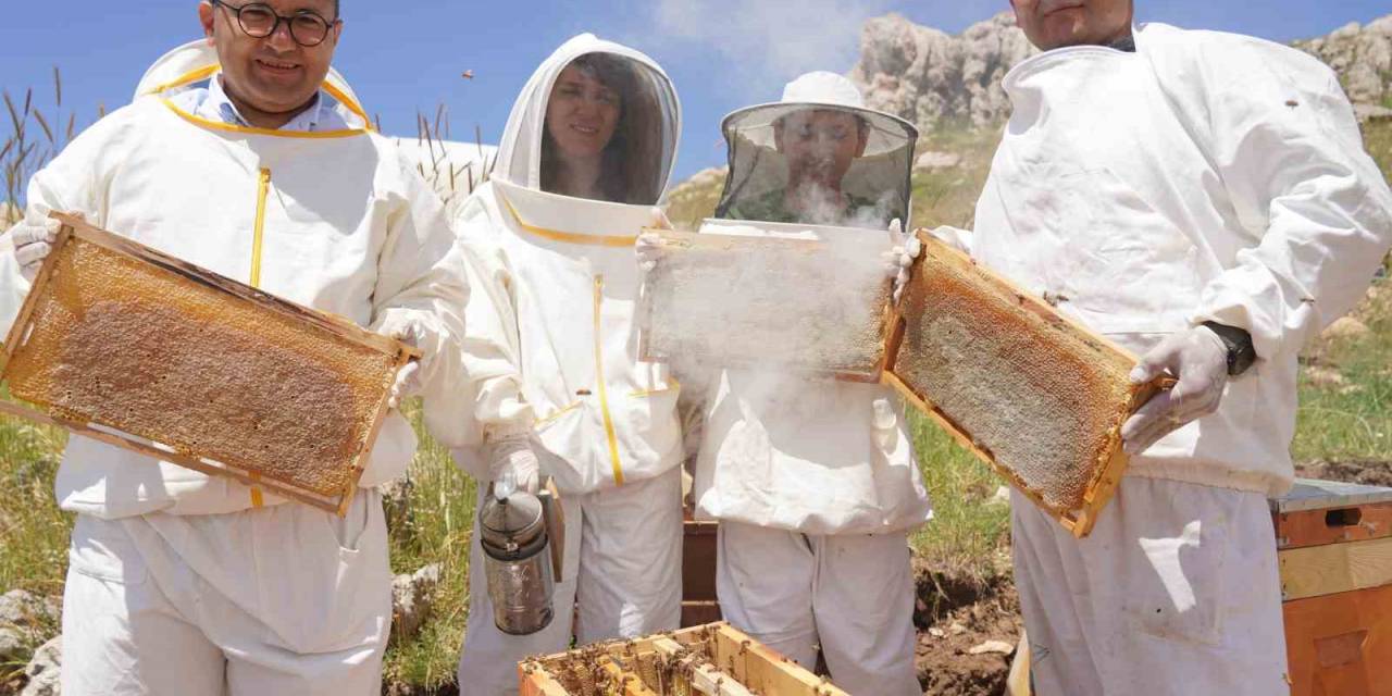 Erzincan’da Kadınlar Arı Sütü Üretecek