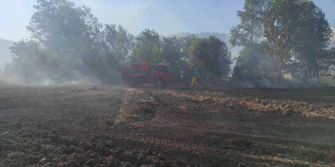 Osmaneli’de 20 Dönümlük Buğday Tarlası Yangında Kül Oldu