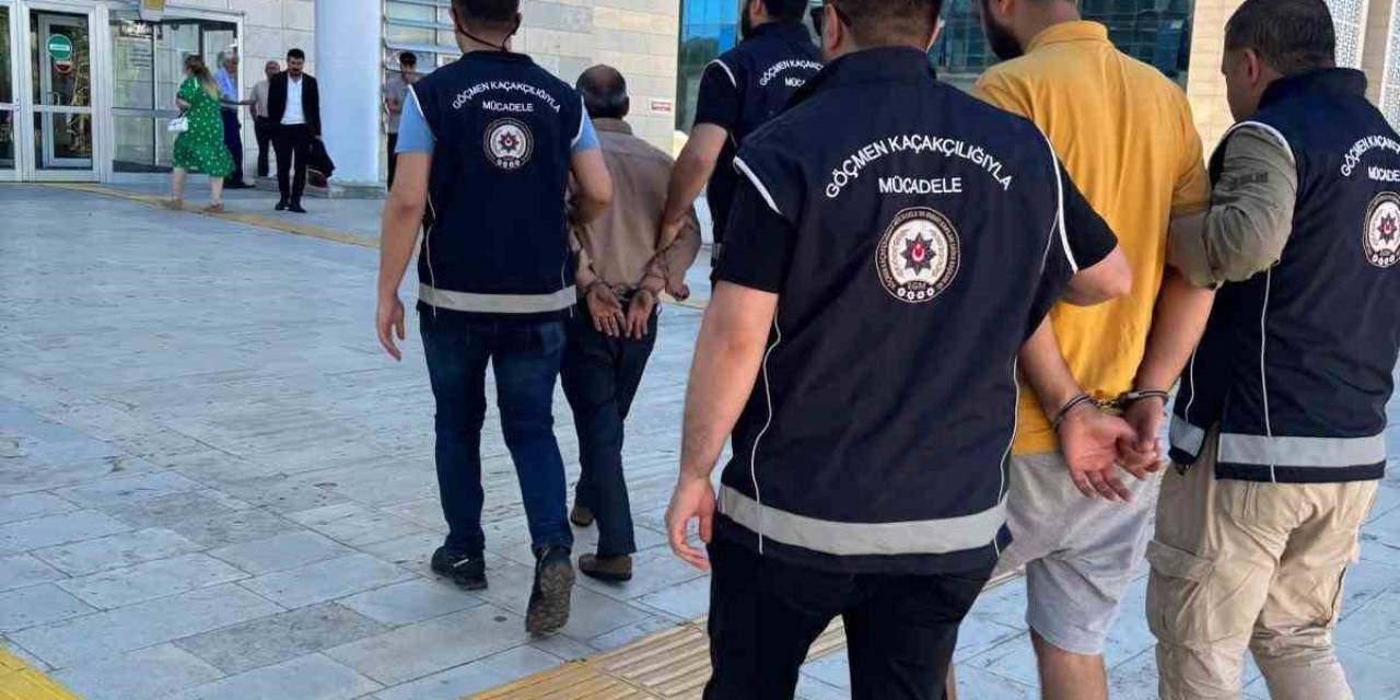 Elazığ’da Göçmen Kaçakçısı 2 Şüpheli Tutuklandı