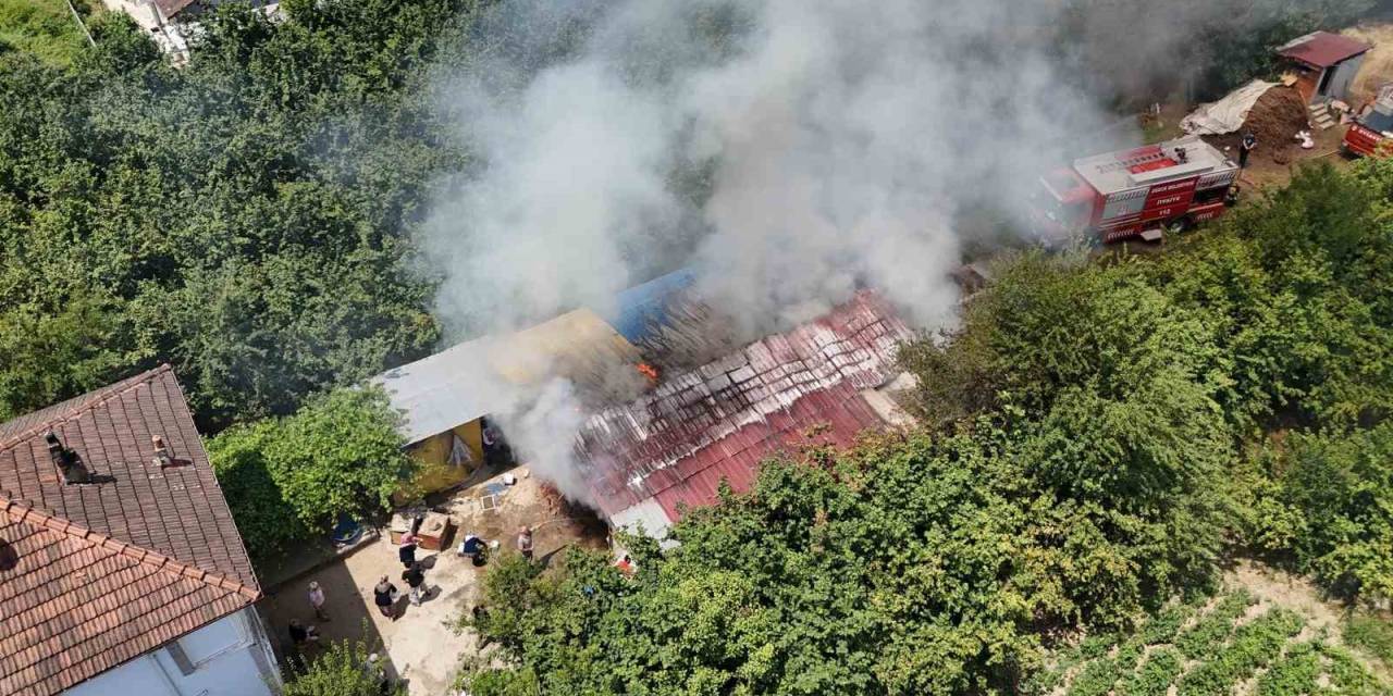 Samanlıkta Yangın Çıktı: 3 Büyükbaş Hayvan Telef Oldu