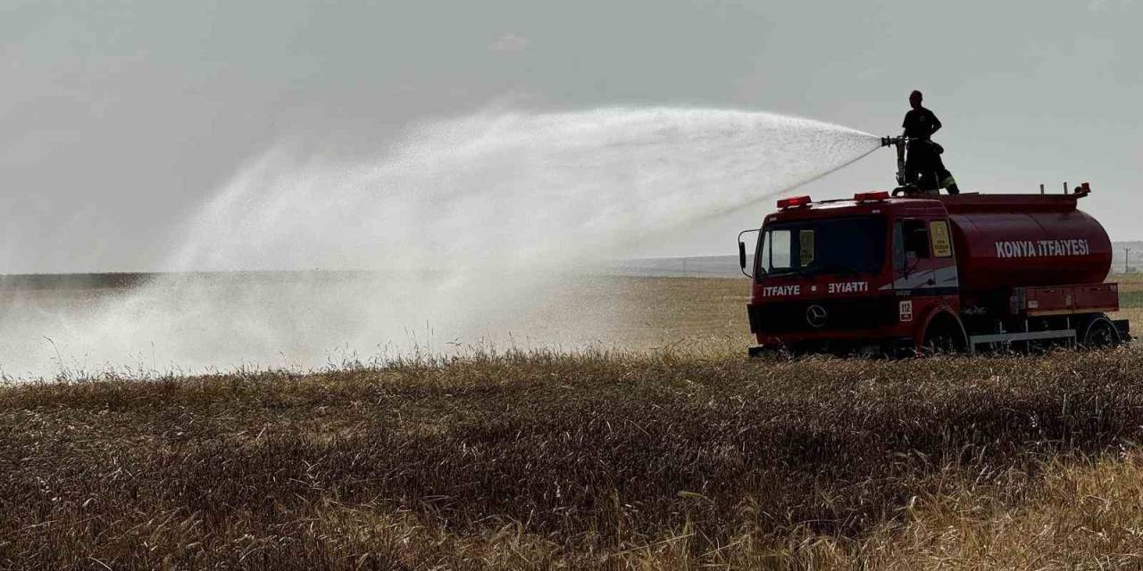 Tarla Yangınlarına Karşı Uzmanlardan Uyarı