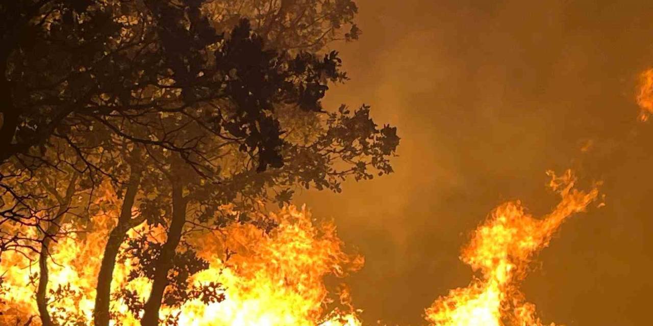 Adıyaman’daki Orman Yangını Devam Ediyor