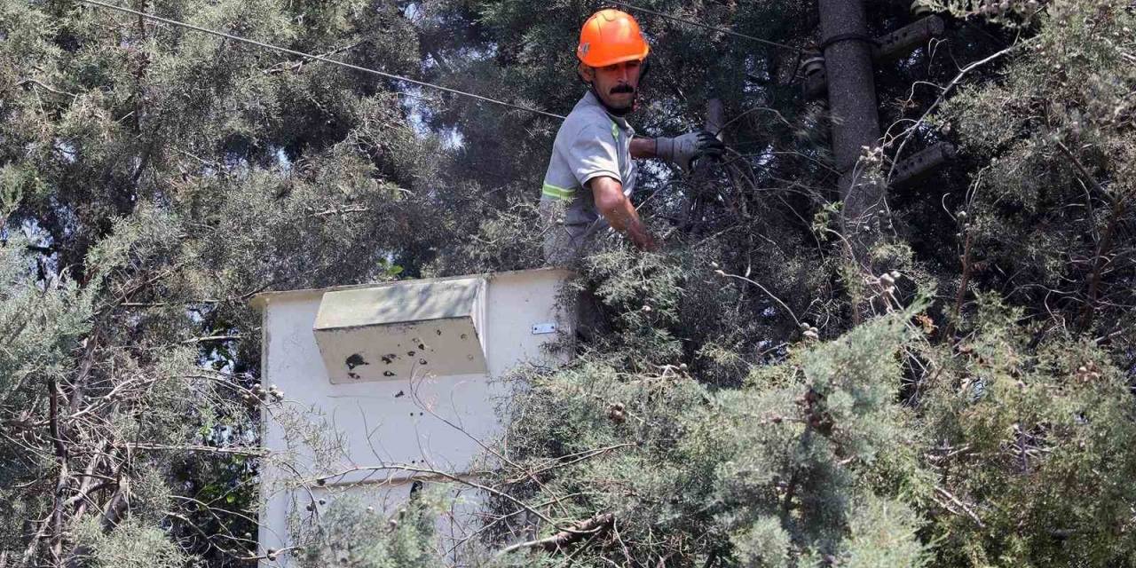 Karabağlar Yaylası’nda Çevre Düzenleme Çalışmaları Devam Ediyor