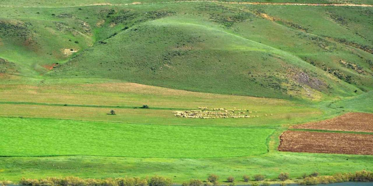 “Erzurum’da Süt Ürünleri Üretimi Gelişime Açık”