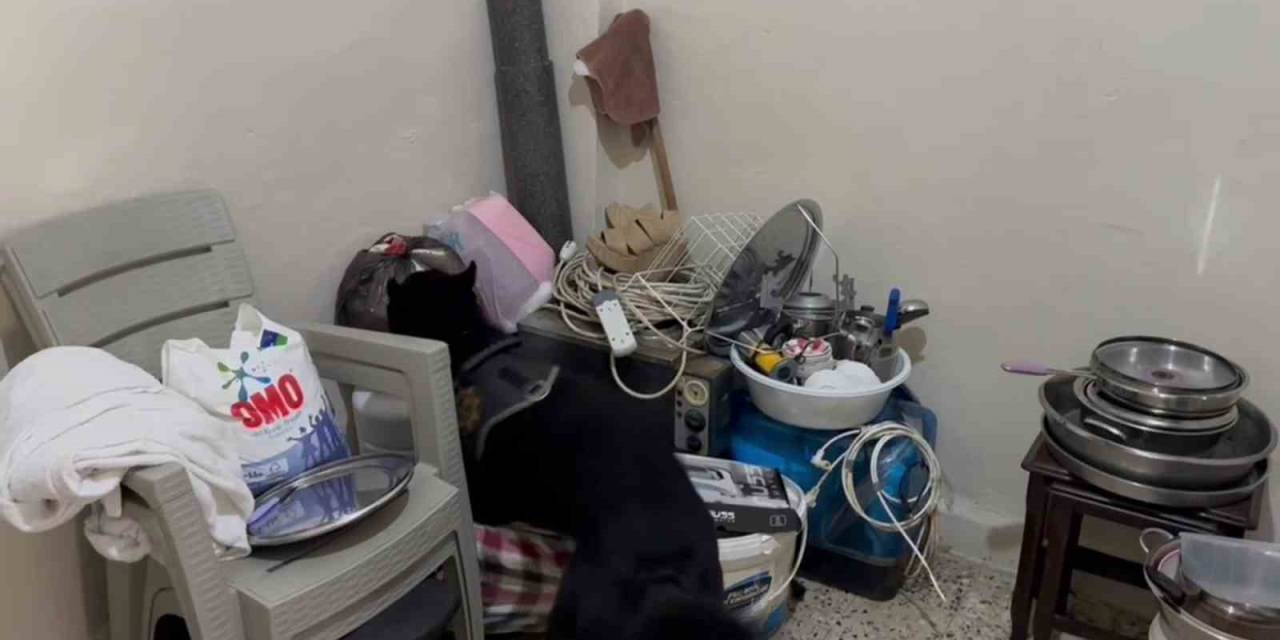 Yorganların Arasına Gizlenen Uyuşturucuyu Polis Köpeği Buldu