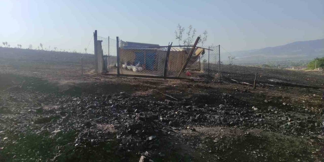 Alevlerin Sardığı Kümesteki Hayvanları Kurtarmak İsterken Yaralandı