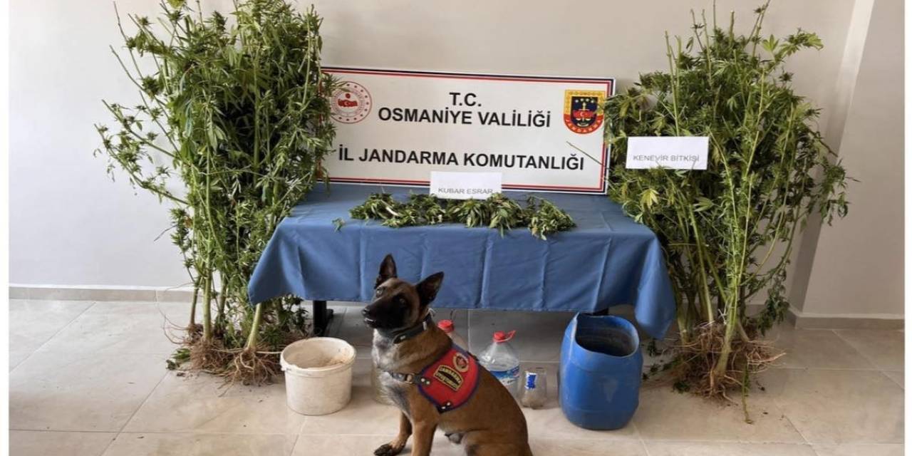 Jandarmadan Uyuşturucu Ve Kaçakçılık Operasyonları: 8 Kişi Gözaltına Alındı