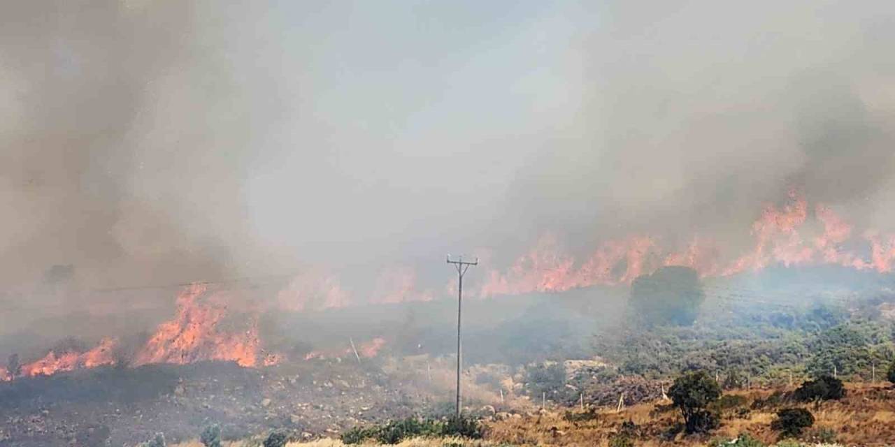 İzmir Menderes’teki Yangının Ardından Bir Yangın Da Çeşme’de Başladı