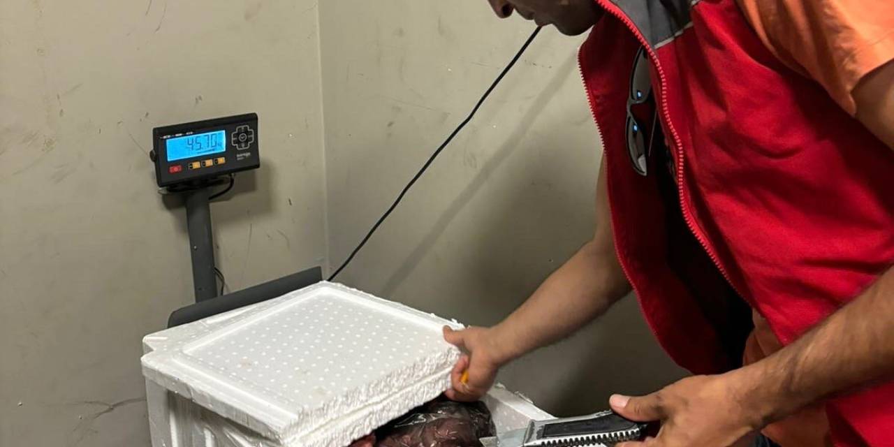 Menteşe Otogarı’nda 45 Kilo Menşei Belirsiz Et Ürünü Ele Geçirdi