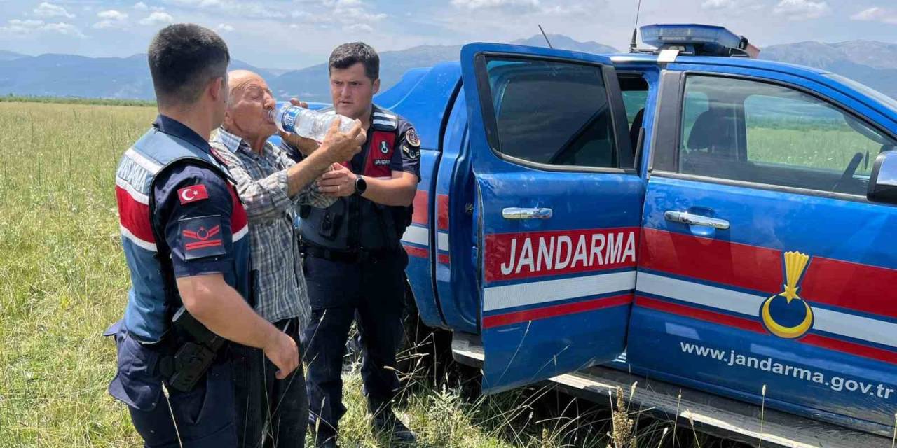 Kayıp Olarak Aranan 78 Yaşındaki Adamı Jandarma Buldu