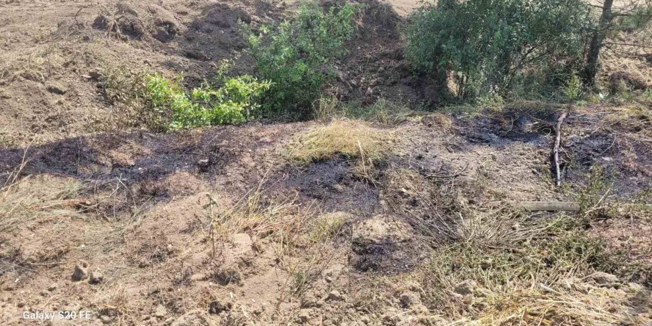 Rüzgarla Birlikte Havaya Kalkan Otlar Elektrik Tellerine Çaptı, Ot Yangını Çıktı