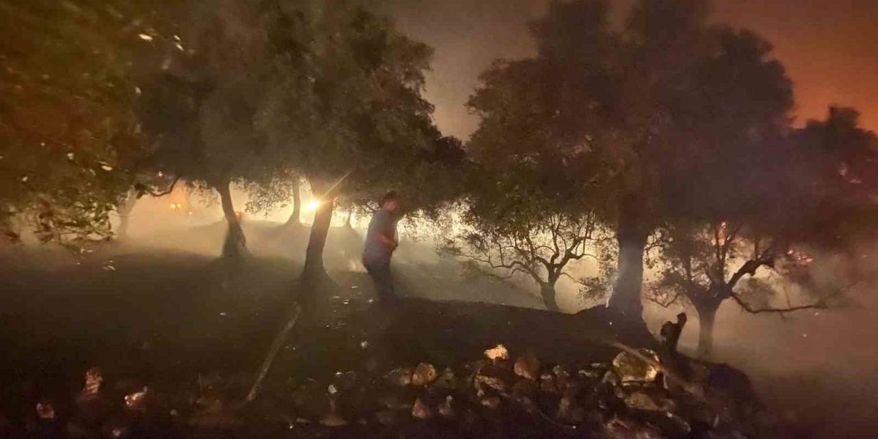 Sultanhisar’daki Yangın Büyük Ölçüde Kontrol Altına Alındı