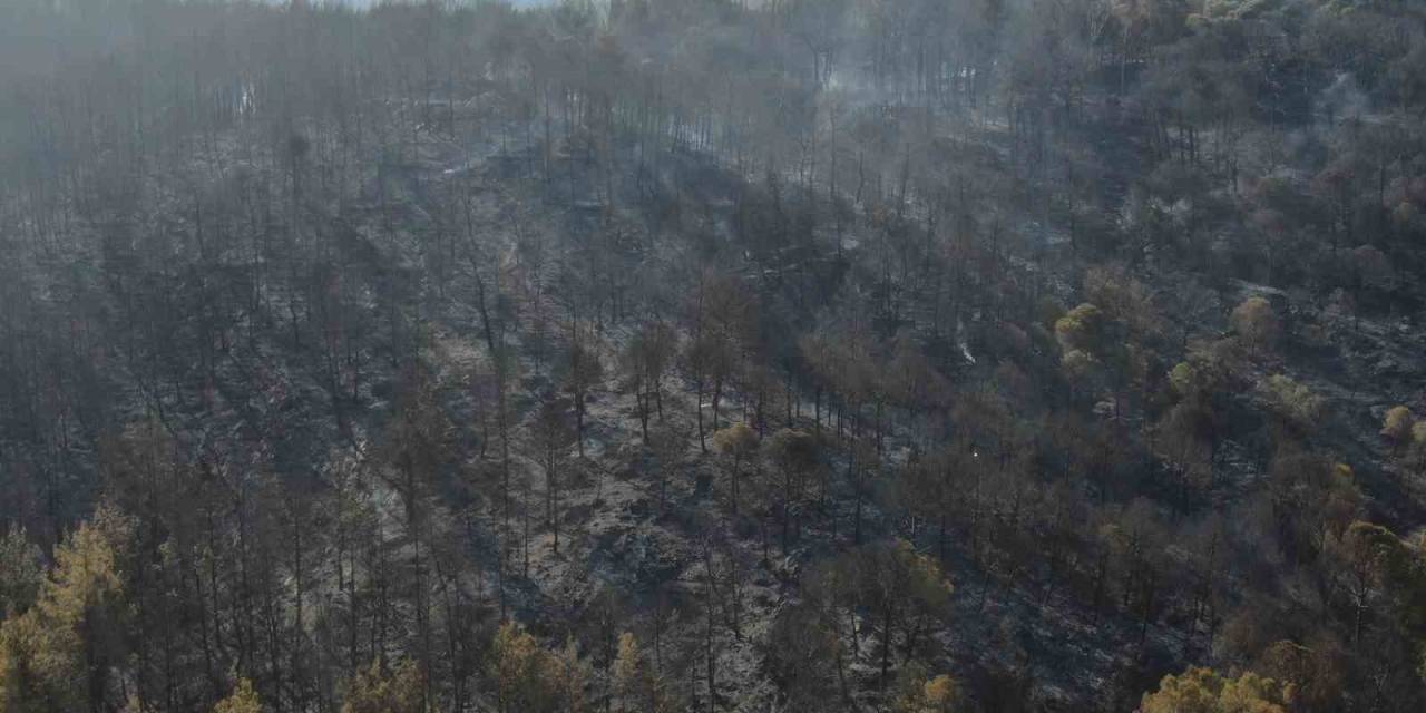 İzmir’de Yangının Çıktığı Nokta Olarak Değerlendirilen Bölge Havadan Görüntülendi