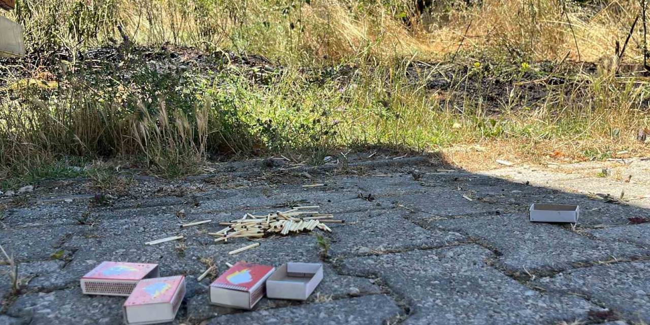 Kibritle Oynayan Çocuklar Yangın Çıkardı: Erken Müdahale Faciayı Önledi