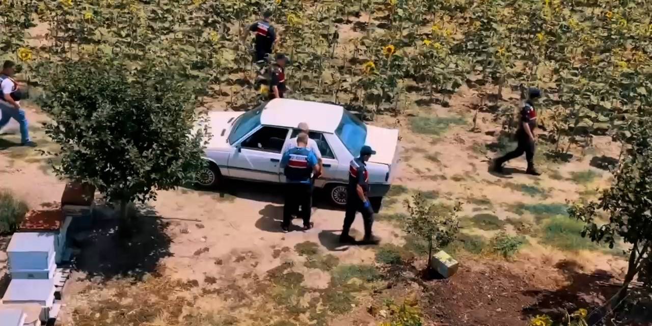 Tekirdağ’da Hazine Arazisine Kenevir Eken Şahıs Yakalandı