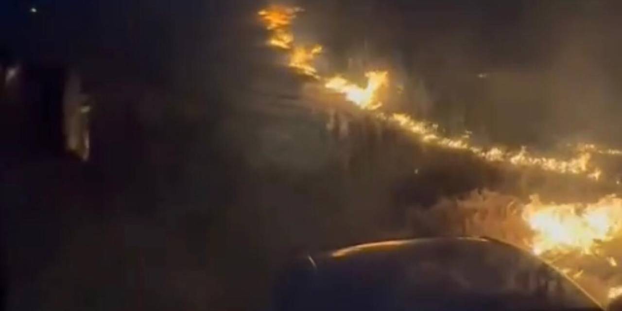 Konya’da Elektrik Akımına Kapılan Kuşlar Yangına Neden Oldu