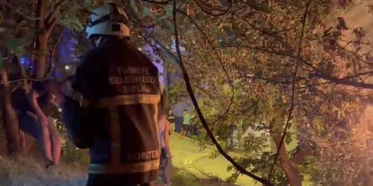 Zonguldak’ta Kümes Yangını Korkuttu