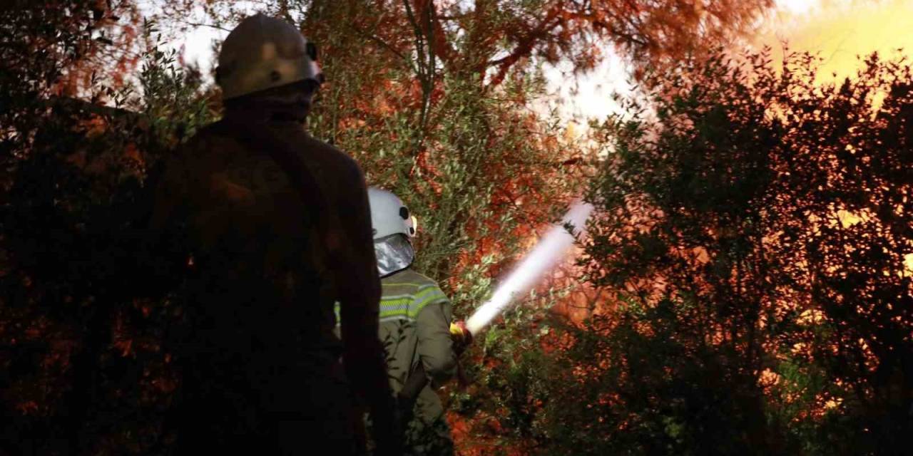 Bakan Yumaklı: "Kuşadası’ndaki Orman Yangını Kontrol Altında"