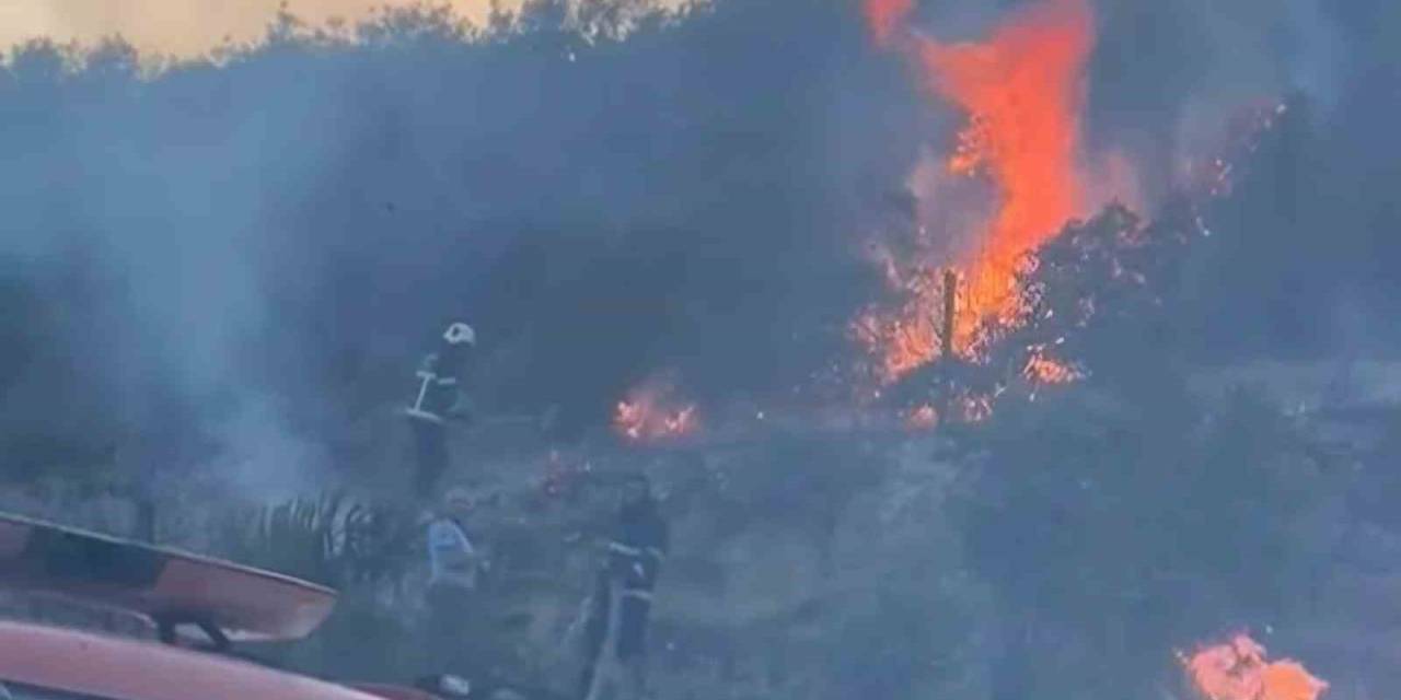 Gaziantep’te Orman Yangını