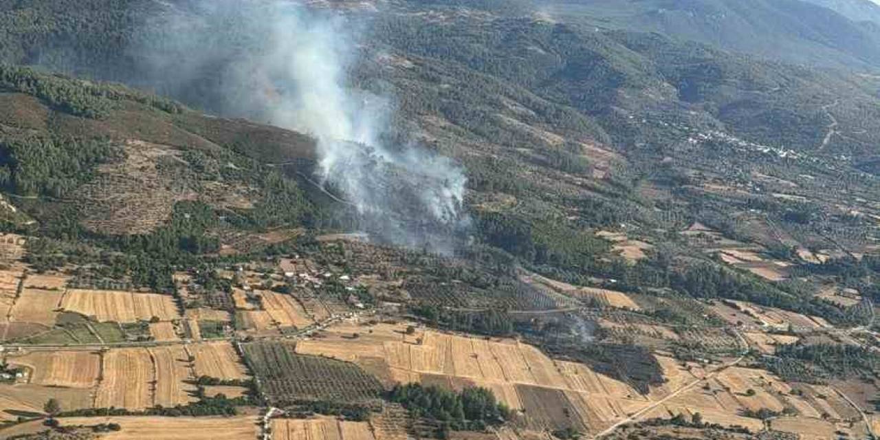 Milas’taki Orman Yangını Kontrol Altına Alındı