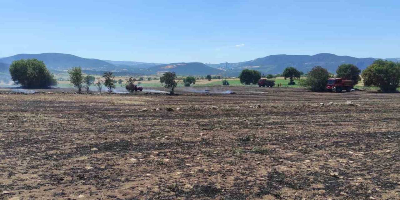 Osmaneli’de Çıkan Anız Yangını Kontrol Altına Alınarak Söndürüldü